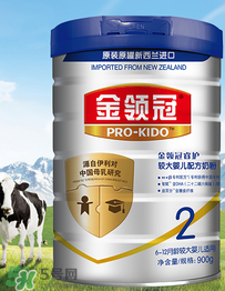 伊利金領(lǐng)冠睿護(hù)奶粉怎么樣 伊利金領(lǐng)冠睿護(hù)奶粉好嗎？