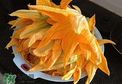 南瓜花有什么作用？南瓜花的作用及禁忌