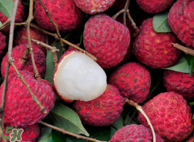 荔枝空腹吃有什么危害？為什么空腹吃荔枝不好？