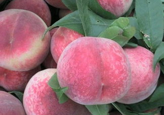 毛桃熱量高嗎？一個(gè)毛桃的熱量