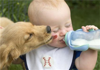 外國(guó)奶粉一定適合中國(guó)寶寶嗎 外國(guó)奶粉比國(guó)產(chǎn)奶粉更好嗎？