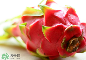 七月份可以種火龍果嗎？火龍果什么時候種植？