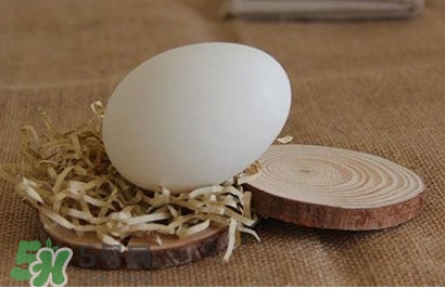 螞蚱菜和鵝蛋能在一起吃嗎？鵝蛋可以和螞蚱菜一起吃嗎