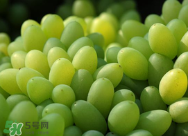 青提怎么洗？青提怎么洗才干凈？