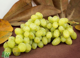 青提怎么洗？青提怎么洗才干凈？