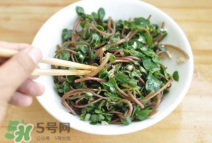 螞蚱菜怎么吃？螞蚱菜怎么做好吃