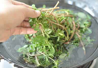 螞蚱菜能生吃嗎？螞蚱菜可以生吃嗎