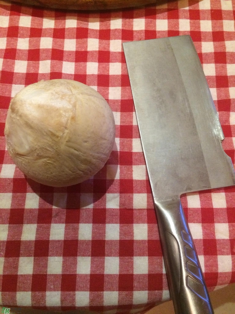 椰皇怎么打開(kāi)_椰皇怎么打開(kāi)圖解 椰皇怎么打開(kāi)_椰皇怎么打開(kāi)圖解