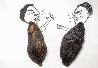 口味王檳榔是什么東西？口味王檳榔怎么吃