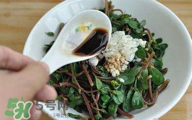 螞蚱菜怎么炒好吃？螞蚱菜做法有哪幾種