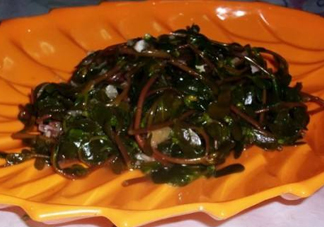 螞蚱菜怎么吃？螞蚱菜怎么做好吃