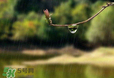 2017年什么時(shí)候入梅？2017年入梅出梅時(shí)間