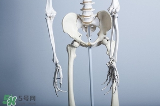 平衡球運(yùn)動可以減肥嗎 最適合拿來當(dāng)作產(chǎn)后瘦身 平衡球運(yùn)動可以減肥嗎 最適合拿來當(dāng)作產(chǎn)后瘦身