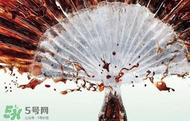 運(yùn)動(dòng)后可以喝可樂(lè)嗎？運(yùn)動(dòng)后喝可樂(lè)會(huì)胖嗎？