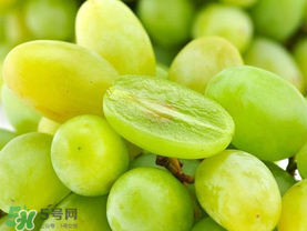 青提怎么保存？青提可以放冰箱嗎？