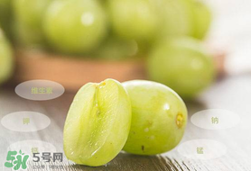 青提怎么保存？青提可以放冰箱嗎？