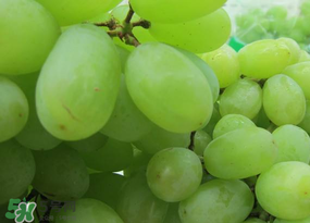 青提上有黑點(diǎn)怎么回事？青提長(zhǎng)斑點(diǎn)是什么原因？