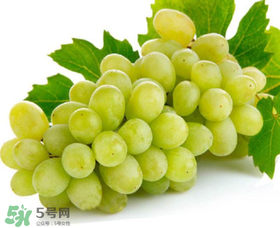 青提太酸怎么辦？青提怎么放才甜 ？