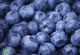 藍(lán)莓什么味道？藍(lán)莓味道是什么樣的？