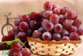 紅提多少錢一斤？紅提子多少錢一斤？