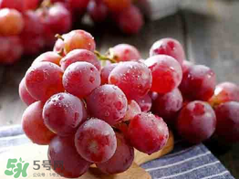 紅提可以放冰箱嗎？紅提放冷庫(kù)怎么保存？