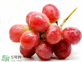 紅提可以放冰箱嗎？紅提放冷庫(kù)怎么保存？