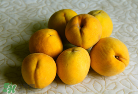 黃桃一天可以吃幾個？黃桃能多吃嗎？