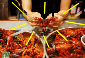 七月份還有小龍蝦嗎？七月份可以養(yǎng)小龍蝦嗎？