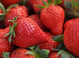 七月份有草莓嗎？7月份有草莓嗎？