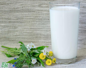 脫脂奶粉哪個(gè)牌子好？脫脂奶粉什么品牌的好？