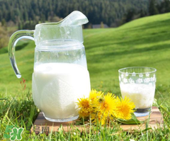 脫脂奶粉什么時(shí)候喝最好？脫脂奶粉什么時(shí)候喝？