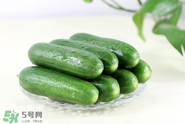 水果黃瓜常溫能放多久？水果黃瓜怎么保存？