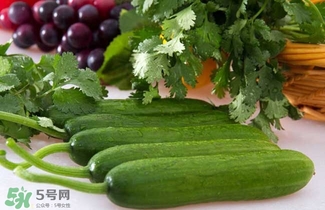 水果黃瓜是轉(zhuǎn)基因嗎？水果黃瓜的功效和作用