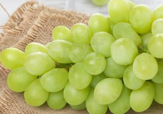 青提怎么保存？青提可以放冰箱嗎？