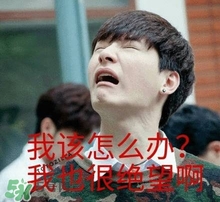 Juvia's Place眼影怎么樣？Juvia's Place眼影畫法