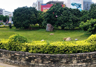 掛綠荔枝為什么這么出名？掛綠荔枝的由來和傳說