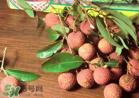 掛綠荔枝什么時候上市？掛綠荔枝什么時候成熟