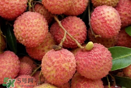 從化荔枝品種有哪些？從化哪里可以摘荔枝