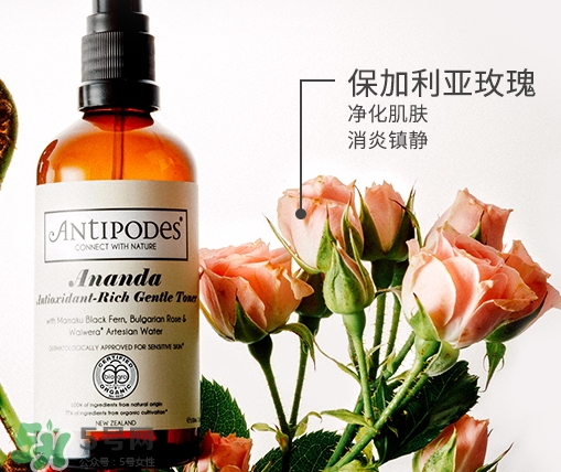 antipodes安媞珀爽膚水多少錢_專柜價格 antipodes安媞珀爽膚水多少錢_專柜價格