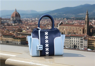 tod's與包先生聯(lián)名合作款折耳包包尺寸多大？