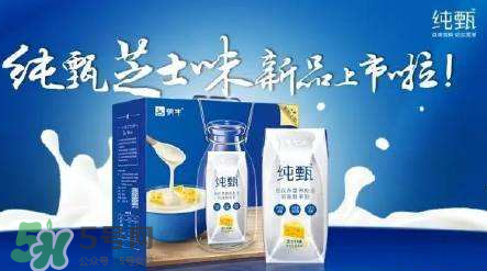純甄芝士酸奶好喝嗎？純甄芝士酸奶口感如何？