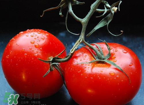 西紅柿爛了一點(diǎn)還能吃嗎？西紅柿爛了能吃嗎？