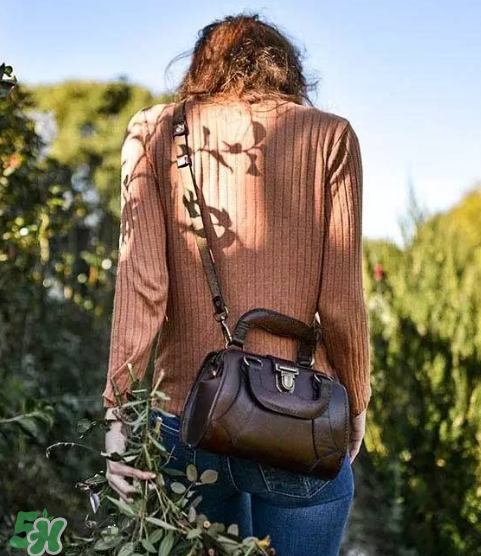 beara beara是什么牌子？beara beara的包怎么樣？