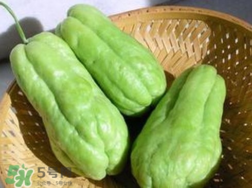 佛手瓜發(fā)芽了可以吃嗎？佛手瓜怎么吃？