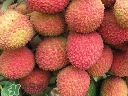 增城和從化荔枝哪個(gè)出名？哪種荔枝最有名