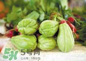 佛手瓜孕婦可以吃嗎？佛手瓜與什么食物相克