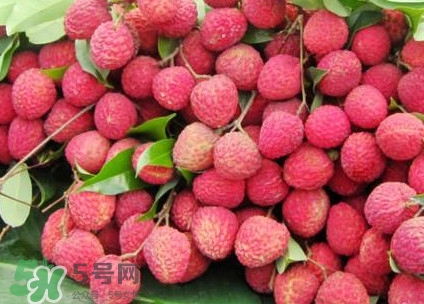 增城荔枝多少錢一斤？增城荔枝哪里的最好吃