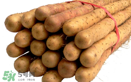 淮山藥是鐵棍山藥嗎？淮山藥和鐵棍山藥的區(qū)別