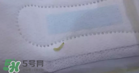 高潔絲衛(wèi)生巾有蟲嗎？高潔絲衛(wèi)生巾有熒光劑