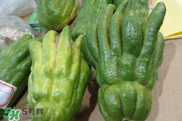 佛手與佛手瓜有什么區(qū)別？佛手與佛手鉗有什么區(qū)別